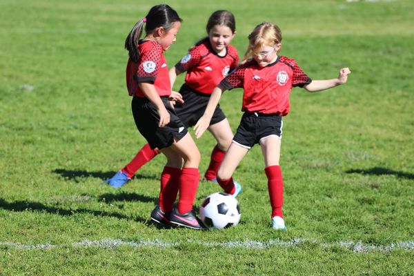 AYSO Region 13 — Grad Series