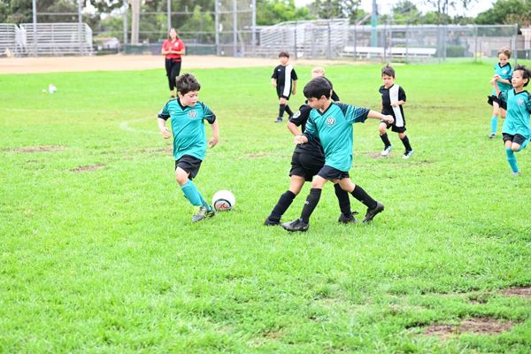 AYSO Region 13 — Fall Game